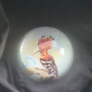Decorative Bird Sphere with Hoopoe Design